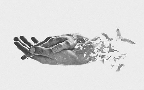 Cái nắm tay trên bàn mổ