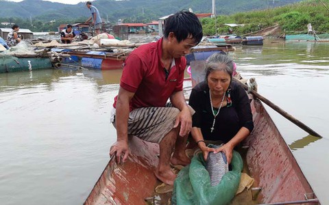 Sắp công bố thương hiệu “Tôm và Cá sông Đà Hòa Bình”