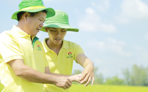 Trải nghiệm giải pháp canh tác ứng dụng công nghệ cao