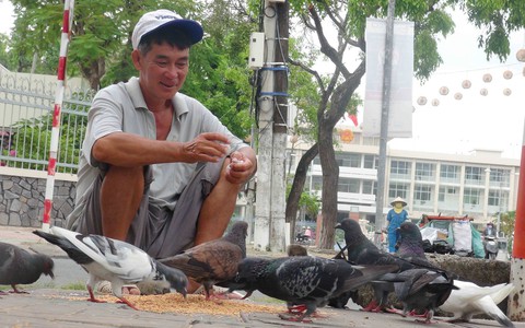 Người nuôi chim trời giữa lòng thành phố