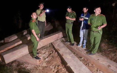 Làm rõ trách nhiệm chủ rừng khi 'gỗ ra ngoài mới biết'