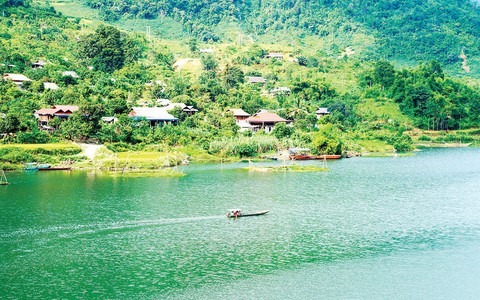Miên man bản Chiếu