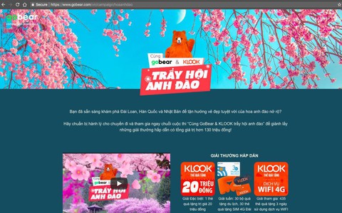 Cùng GoBear & KLOOK trẩy hội anh đào