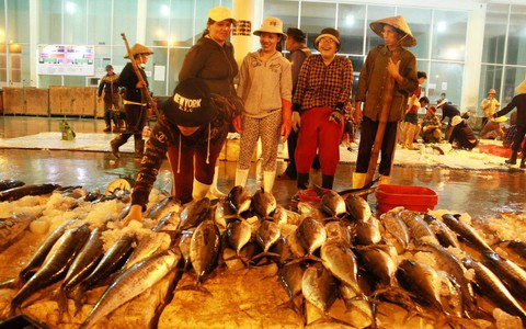 Những mẻ cá xuyên trăng