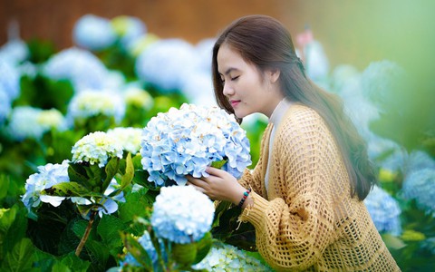 5 kinh nghiệm chụp hoa ở Đà Lạt