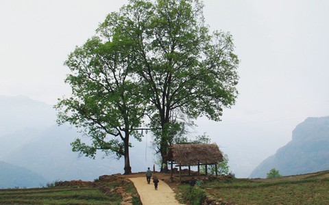 Tháng 3, mình giữ lại một mùa xuân