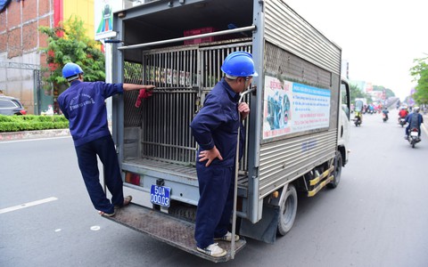 Xe bắt chó, “đặc sản đô thị” Sài Gòn