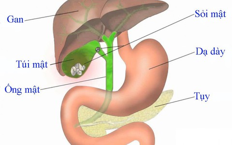 Những điều cần biết sau khi cắt túi mật