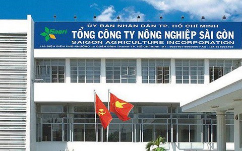Vì sao tổng giám đốc Nông nghiệp Sài Gòn bị kỷ luật?