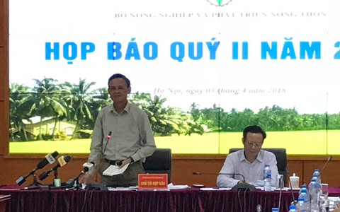 Cây 'siêu khủng' trót lọt qua nhiều tỉnh thành là bất thường