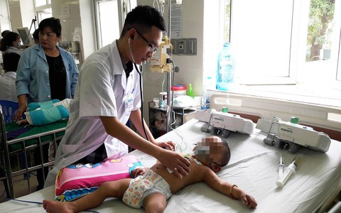Cứu sống bé trai 19 tháng tuổi bị cả đàn ong đốt
