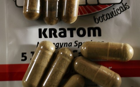 Thực phẩm thảo dược Kratom nhiễm khuẩn salmonella