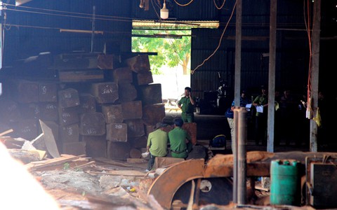'Ăn' tiền để thả gỗ lậu, thêm trạm trưởng kiểm lâm bị khởi tố