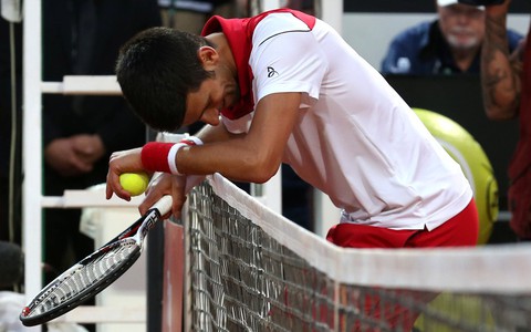 Sharapova leo cao, Djokovic trượt dài