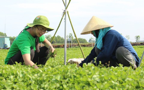 Hai bạn trẻ khởi nghiệp với bột rau từ nguyên liệu sạch
