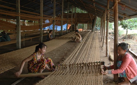 Dừa 101 công dụng