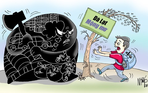 Đà Lạt - Tình đầu dang dở