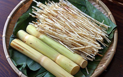 Nước mát cho 4 mùa