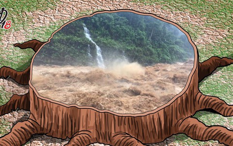 Chúng ta không thể ăn được tiền