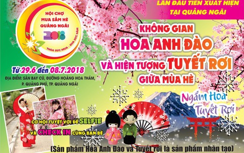Ngắm “Lễ hội Hoa Anh Đào và Tuyết rơi” lần đầu tại Quảng Ngãi