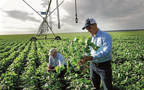 Bayer hoàn tất thương vụ sáp nhập lịch sử trong ngành nông nghiệp toàn cầu
