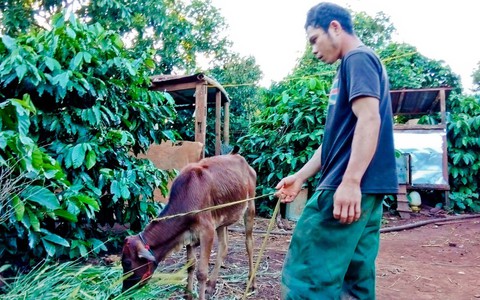 Năm 2025 sẽ nâng mức trợ cấp xã hội lên 500.000 đồng/người/tháng