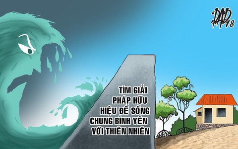 Phên giậu cho Biển Tây