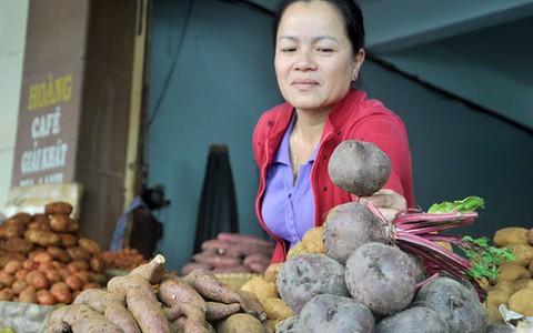 Bột đất đỏ và con tem trên nông sản Đà Lạt