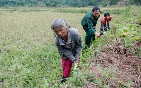 Cánh đồng trên tháp núi