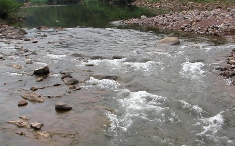 Bà ngoại 'quên' 30 phút, cháu bé chết thảm dưới suối