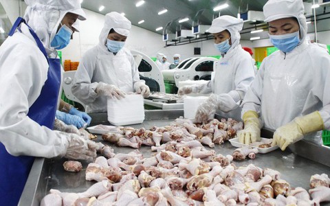 Nhiều doanh nghiệp không dán tem truy xuất nguồn gốc gia cầm