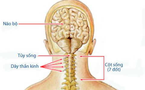 Đau cổ