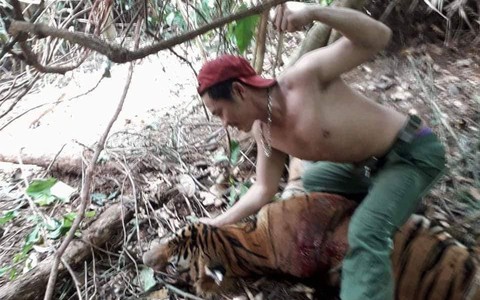 Thái Lan bắt 2 người Việt nghi săn trộm hổ quý