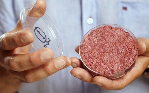 Nga sản xuất thành công 'thịt nuôi trong phòng thí nghiệm'