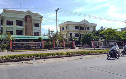 Khó thu 155 tỉ đồng thuế từ công ty của 'Bông hồng vàng' Võ Thị Thanh