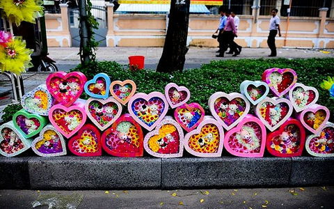 Tâm sự của hoa nhài