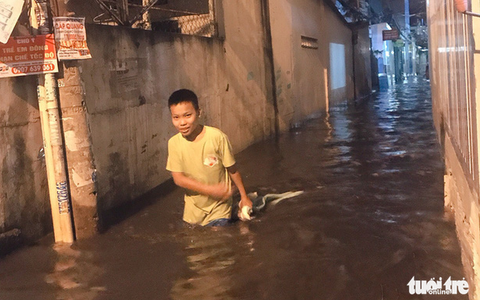 Rung chấn từ thi công ép cọc làm vỡ bờ kè ở quận 8