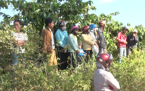 Video: Hỗn chiến trong vườn cà phê, 3 cha con bị chém thương vong