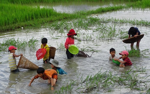 'Sáng giờ em bắt được ba con cá, em kính tặng thầy'