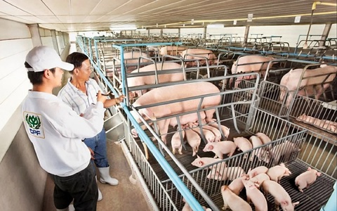 Nông nghiệp châu Á 'cầu cứu' công nghệ