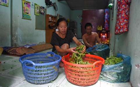 Nhà ở - ước mơ không chỉ của người nghèo