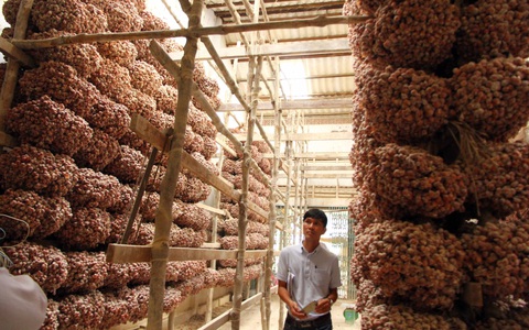 Giữ danh tiếng nông sản Việt: Giống tốt thôi chưa đủ!