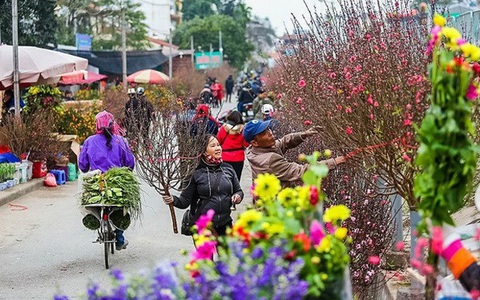 Hà Nội sẽ có 51 điểm chợ hoa xuân phục vụ Tết