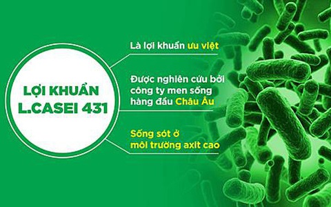 'Giải mã' sức mạnh của chủng men L.Casei 431®