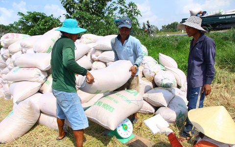 Vẫn có thể xuất khẩu 6 triệu tấn gạo
