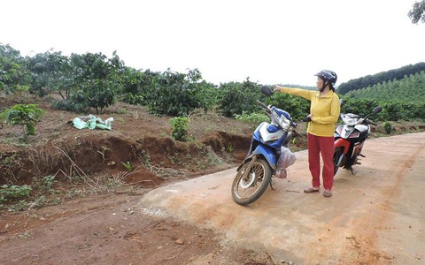Khó tưởng tượng khi giám đốc làm đường giảm nghèo nắn… vô rẫy nhà mình