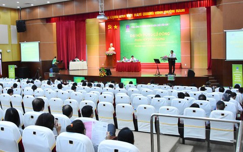 Xem xét việc bầu thành viên Hội đồng quản trị của PVFCCo