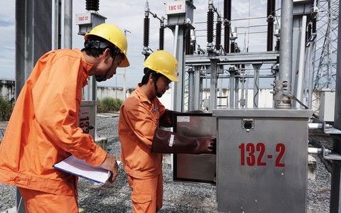 Điện lực miền Nam hưởng ứng chiến dịch Giờ Trái đất năm 2019