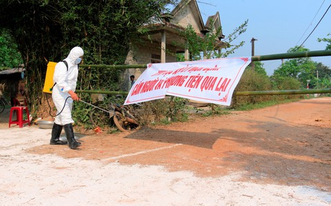 Thừa Thiên Huế phát hiện thêm 3 ổ dịch tả heo châu Phi