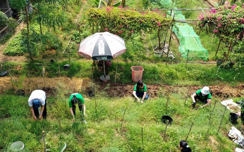 Về vườn để học sống thuận theo tự nhiên